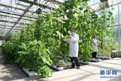 北京海淀：科技助力农产品供应