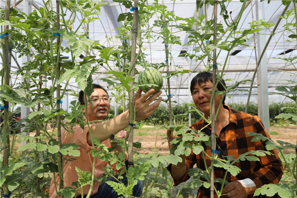 安徽樅陽：科技特派員助脫貧
