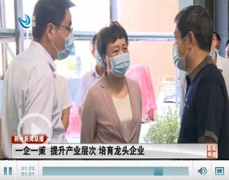 张远梅调研监利工业经济发展工作