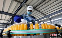 广西融安粤桂扶贫产业园区企业生产忙