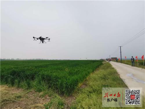 喜讯！荆州市农业面源污染整治工作位列全省第一