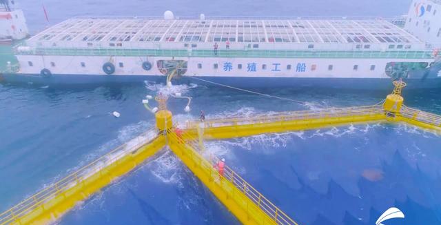 胶东5市座谈交流:如何下好经济圈一体化这盘棋