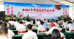 2020年中国荔枝产业大会在茂名开幕 加快推进我国