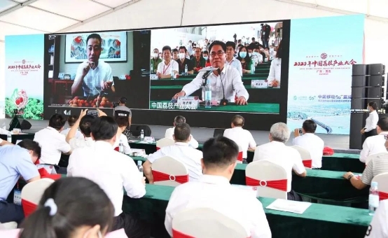 2020年中国荔枝产业大会在茂名开幕 加快推进我国