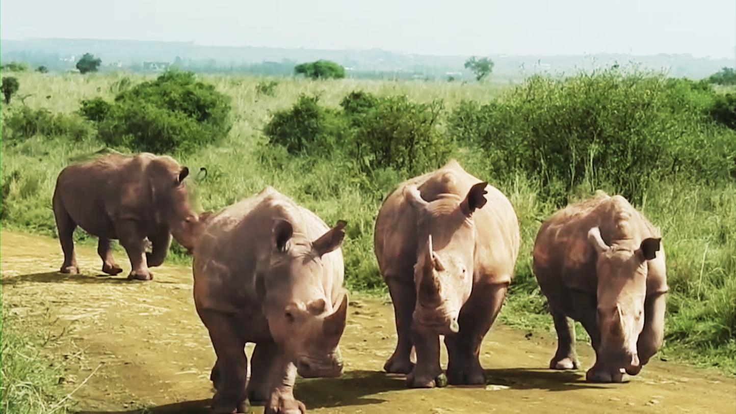 业内首发“双报告” 讲述伊利如何守护“多样地