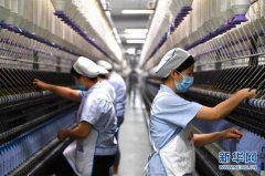 全国人大代表何菲：传承“梦桃精神”做新时代产业工人