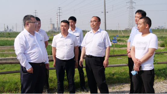 践行焦裕禄精神，开启盐碱地产业发展新篇章