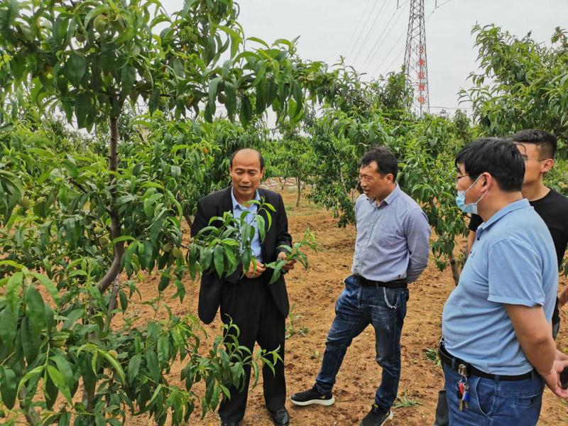 送服务进企业助推转型升级