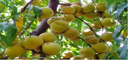 送服务进企业助推转型升级