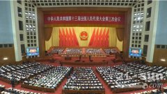 <b>聚焦两会│全国人大代表刘飞香谈企业自主创新</b>