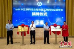 徐州市互联网行业党委和行业联合会挂牌成立