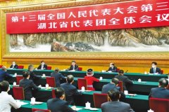 習近平在參加湖北代表團審議時強調：整體謀劃系統重塑全面提升織牢織密公共