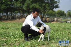 “科技哨站”助力脱贫攻坚