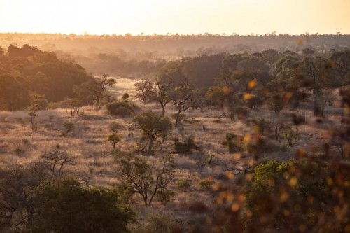 向辽阔出发,BMW X7《阔境人生》震撼开启