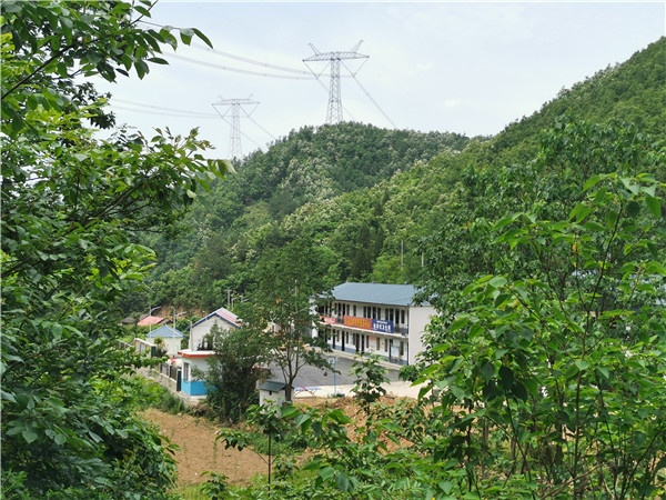 决胜最后的贫困村| 南阳西峡五朵山村：香菇美味，脱贫决心更坚