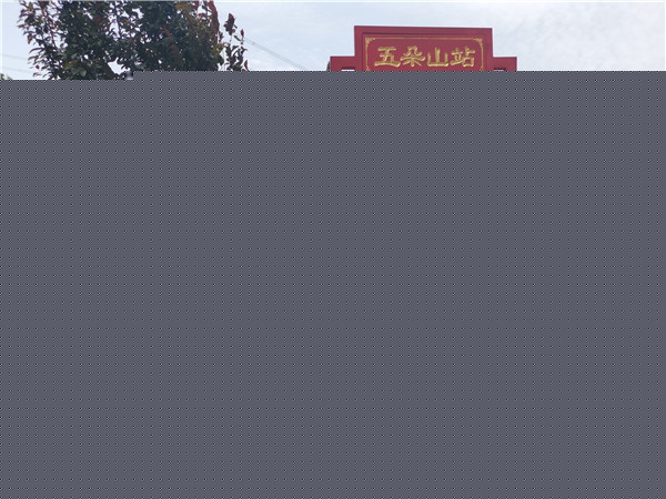 决胜最后的贫困村| 南阳西峡五朵山村：香菇美味，脱贫决心更坚