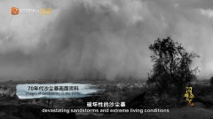 从“死亡之海”到“绿色长城” 《闪耀的平凡》走近库布其奇迹