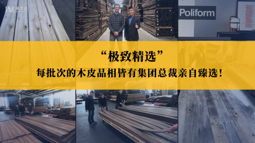 美罗堡总裁丁敏成为高端定制行业网红一哥，直