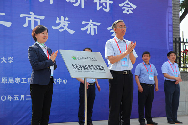 大荔县举行大荔冬枣产业提升研讨会暨大荔冬枣