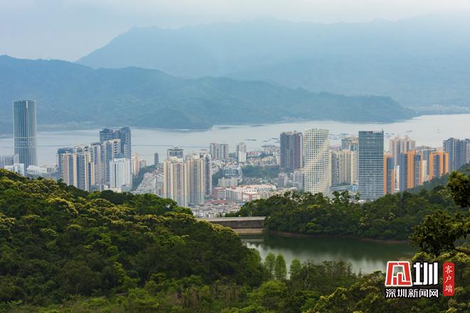 推动经济高质量发展 盐田区出台《扶持办法》助