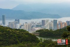 推动经济高质量发展 盐田区出台《扶持办法》助