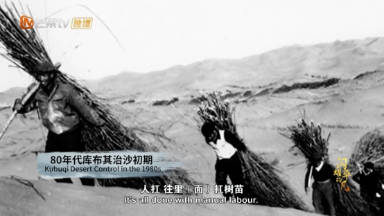 从“死亡之海”到“绿色长城”，《闪耀的平凡》走近库布其奇迹