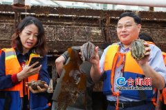 福山福水福味道 2020海上福建·正宗原产地线上直播销售活动启动