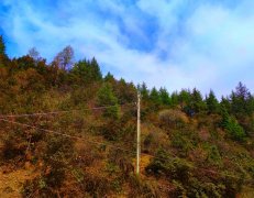 嘉盛公司：提升经营水平，服务阿坝电网建设