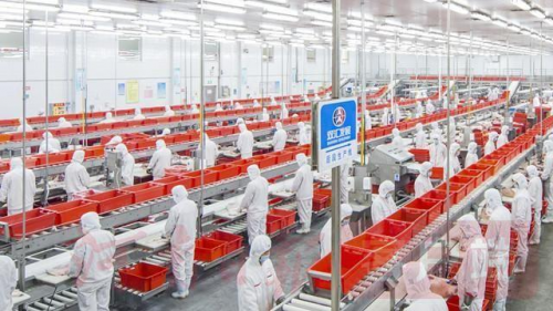 双汇通过数字营销推动行业可持续发展