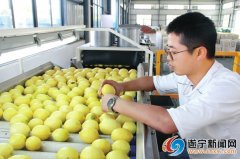 庞干：“小柠檬”做成“大产业”