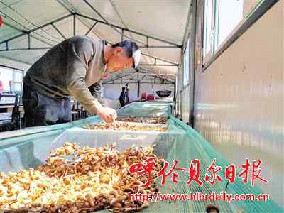 崔永德：一人种下希望 乡亲沐浴春光