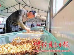 崔永德：一人种下希望 乡亲沐浴春光