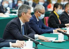 习近平总书记同出席2020年全国两会人大代表、政