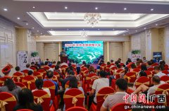 广西河池文旅企业到桂林推介推进旅游市场复苏