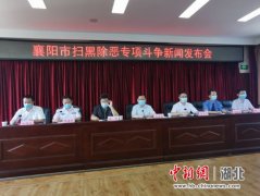襄阳扫黑除恶取得阶段性胜利：打掉涉黑组织24个