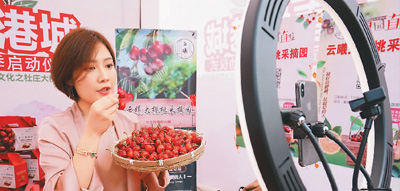 搭上直播人才培养的快车