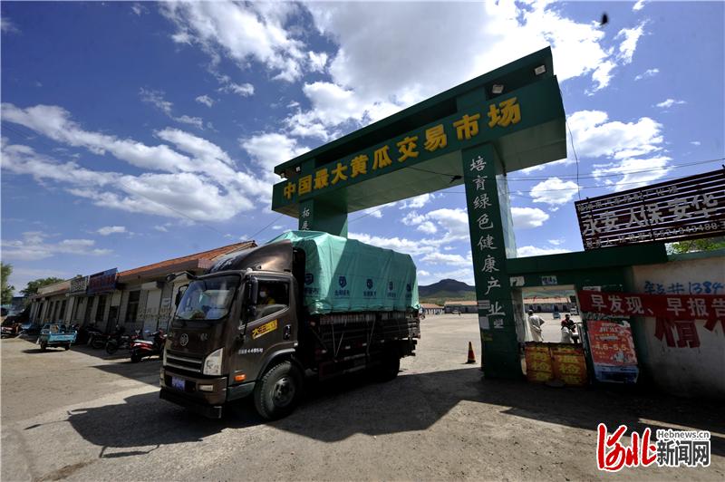 河北融媒头条｜河北省平泉市榆树林子镇做大黄瓜产业纪实：小黄瓜如何闯出20亿大市场