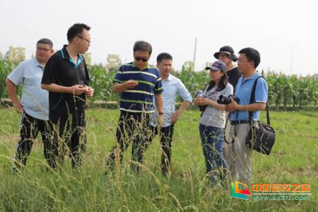 1591240051535745.jpg 202006043040.jpg