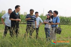 世界最大草种企业到四川农业大学动科学院交流