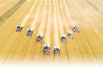 今年全国粮食产量预计达6.7亿吨