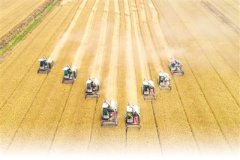 今年全国粮食产量预计达6.7亿吨