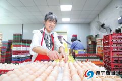 蛋鸡生产旺全力保市场