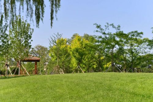 微信图片_20200605180854