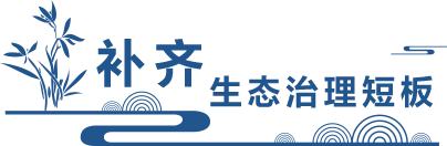 世界环境日，听习近平总书记讲“美丽中国梦”