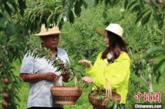 四川旺苍：产业、教育“节节高” 民众绘就幸福生活新画卷