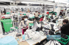 政策赋能 为企业稳健发展注入新动力