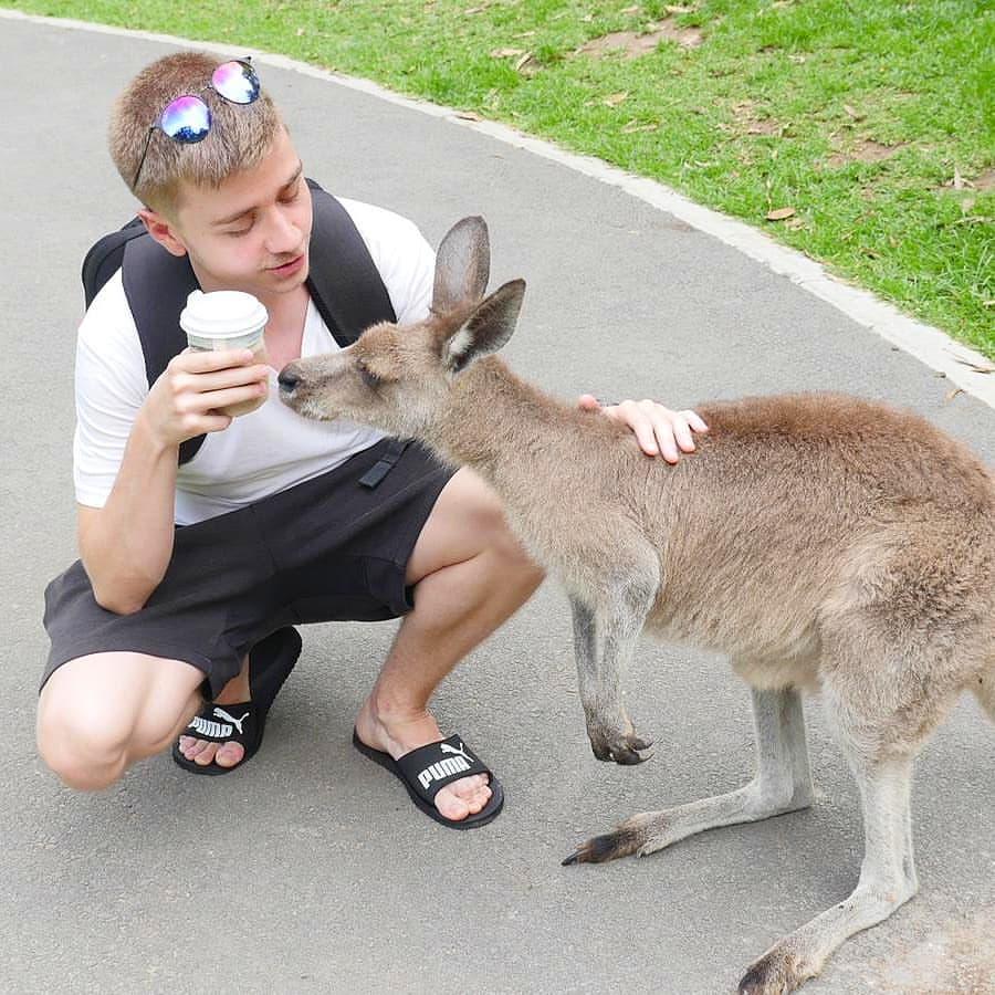 N0tail：Topson在芬兰用4G网络玩游戏