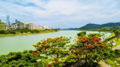 山水共融生态宜居 大笔挥毫绿色画卷