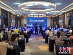 2020南京创新周：江北新区举行“产业创新峰会”