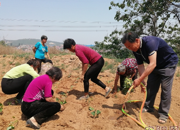 龙安区善应镇西方山村产业扶贫见闻